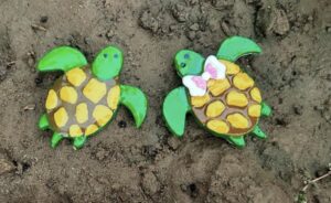Turtle Magnet