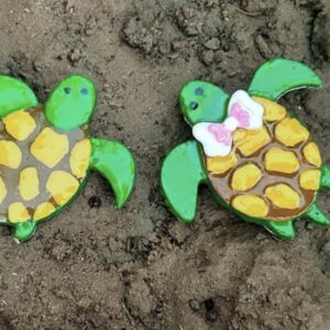 Turtle Magnet