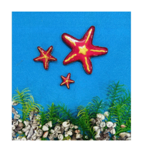 Pink Starfish