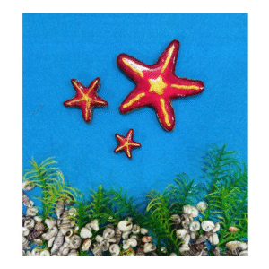 Pink Starfish